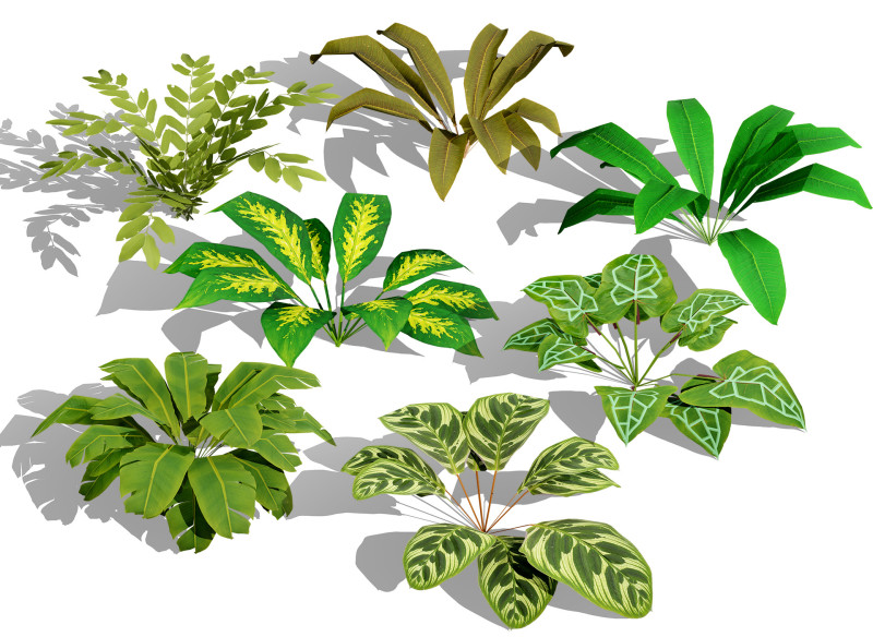 Game-Ready Tropical Plants Foliage Collection 3D Модель .c4d .max .obj .3ds .fbx .stl .blend