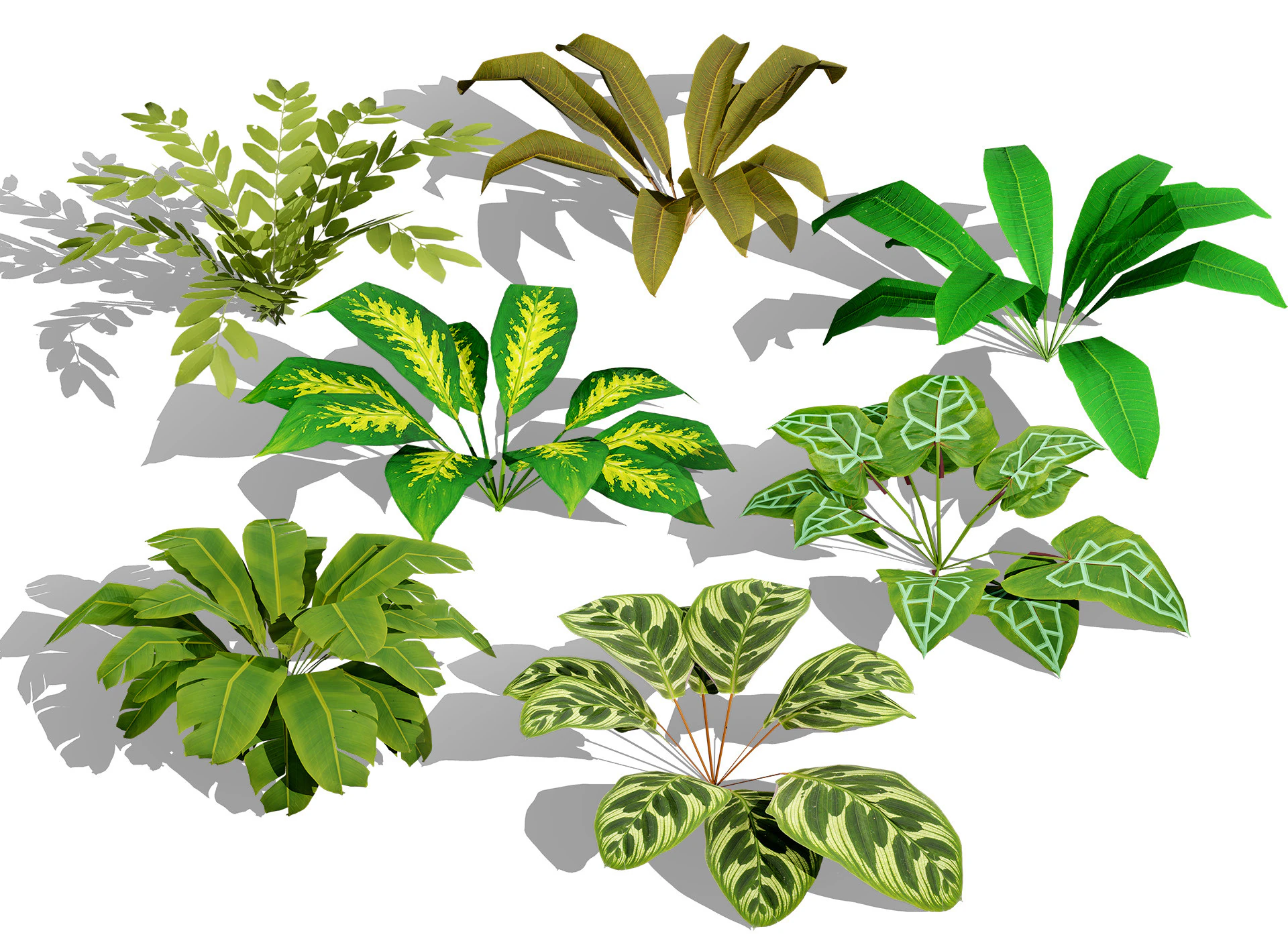 Collezione di foglie di piante tropicali pronte per il gioco Modello 3D .c4d .max .obj .3ds .fbx .stl .blend