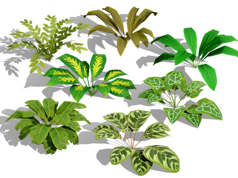 Game-Ready Tropical Plants Foliage Collection 3D 모델