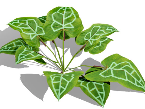 Collezione di foglie di piante tropicali pronte per il gioco Modello 3D