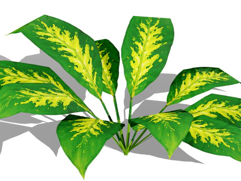 Collezione di foglie di piante tropicali pronte per il gioco Modello 3D