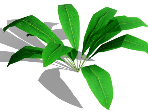 Collezione di foglie di piante tropicali pronte per il gioco Modello 3D