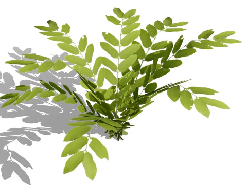 Collezione di foglie di piante tropicali pronte per il gioco Modello 3D