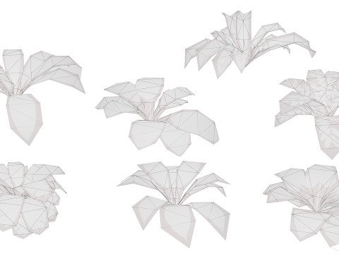 Game-Ready Tropical Plants Foliage Collection 3D Модель