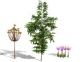 Photorealistic Moroccan Flora Collection Modelo 3D