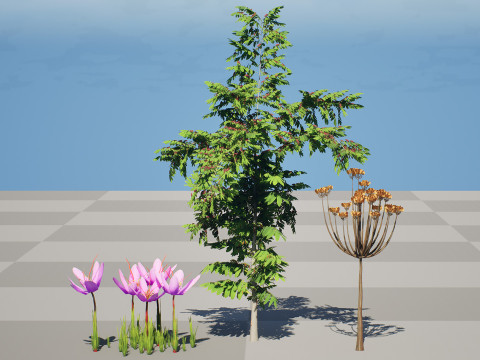 Photorealistic Moroccan Flora Collection 3D Модель