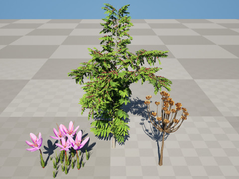 Photorealistic Moroccan Flora Collection 3D Модель
