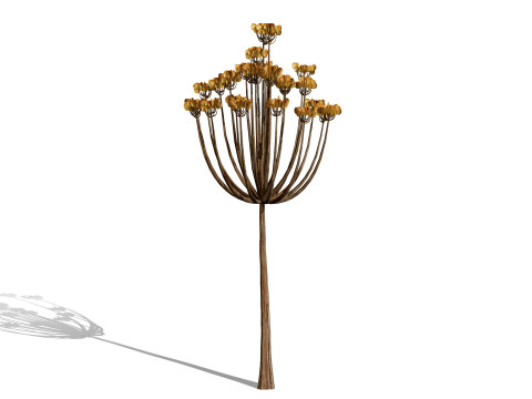 Photorealistic Moroccan Flora Collection 3D Модель