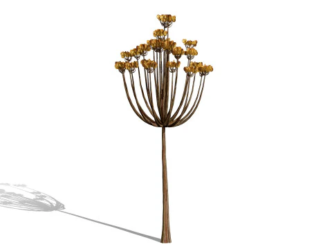 Photorealistic Moroccan Flora Collection 3D Model