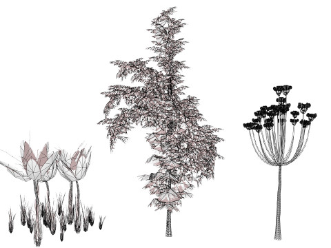 Photorealistic Moroccan Flora Collection 3D Модель