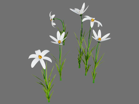 Pacchetto flora marocchina fotorealistica Modello 3D