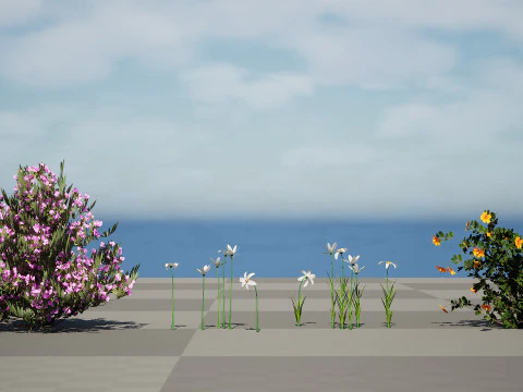 Pacchetto flora marocchina fotorealistica Modello 3D