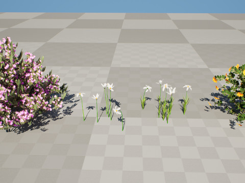 Photorealistic Moroccan Flora Pack Modelo 3D