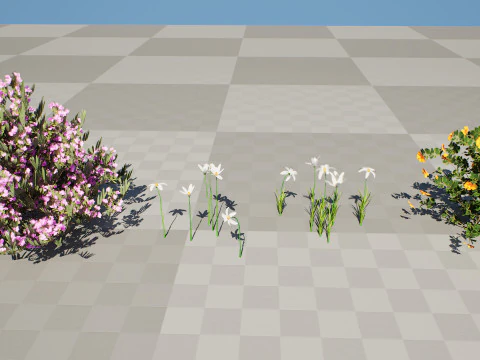 Pacchetto flora marocchina fotorealistica Modello 3D