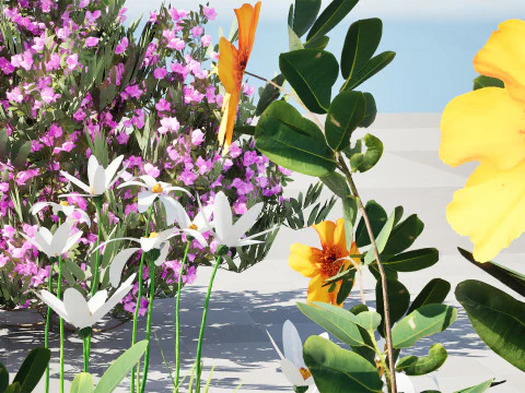 Pacchetto flora marocchina fotorealistica Modello 3D