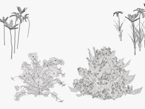 Pacchetto flora marocchina fotorealistica Modello 3D