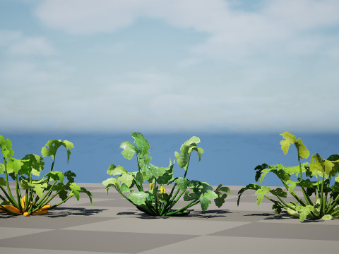 Moroccan Zucchini Vegetable Plants Model 3D