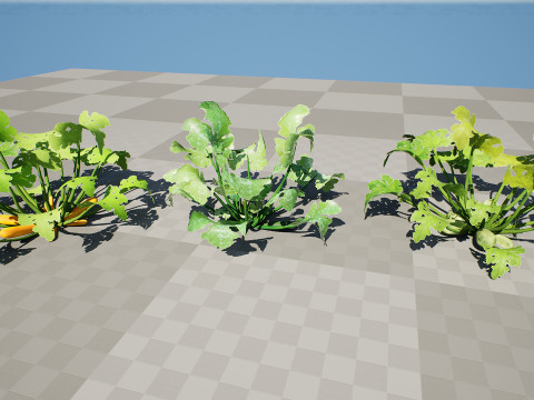 Moroccan Zucchini Vegetable Plants Model 3D