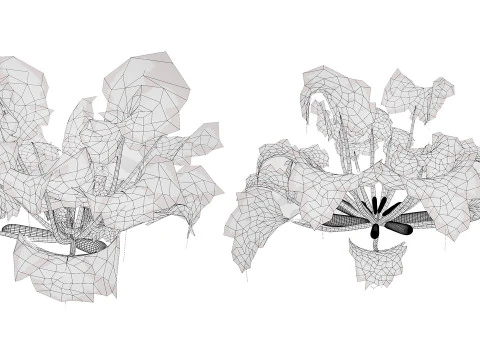 Piante vegetali di zucchine marocchine Modello 3D