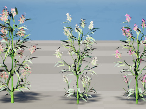 British Hemp-Agrimony Pack 3D Model