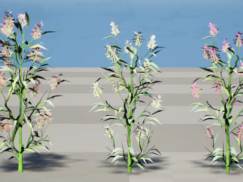 British Hemp-Agrimony Pack 3D Model