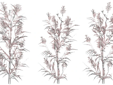 British Hemp-Agrimony Pack 3D Model