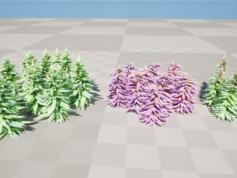 英国大麻花 3D 模型