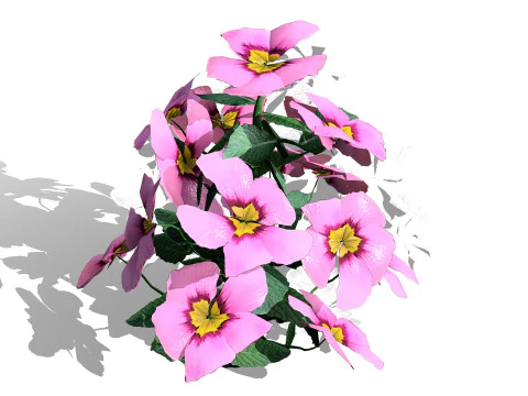 Primula vulgaris Collection 3D Model