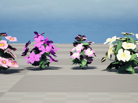 Primula vulgaris Collection 3D Model