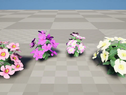 Primula vulgaris Collection 3D Model