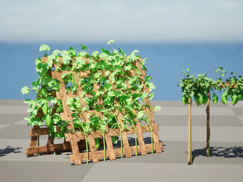 Confezione di edera per piante di zucca amara Modello 3D