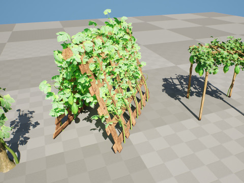 Confezione di edera per piante di zucca amara Modello 3D