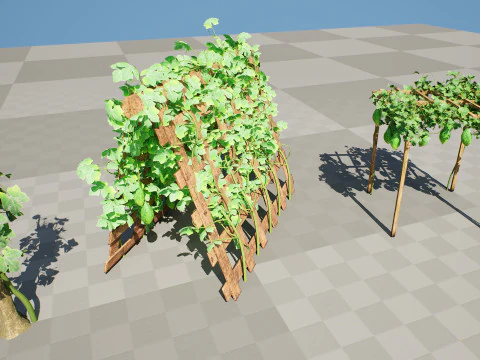 Confezione di edera per piante di zucca amara Modello 3D