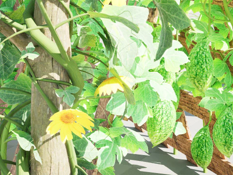 Confezione di edera per piante di zucca amara Modello 3D