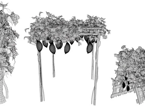 Confezione di edera per piante di zucca amara Modello 3D