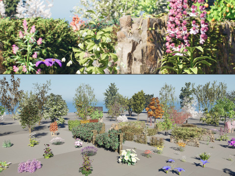 British Vegetation 3D Asset Pack 3D Model