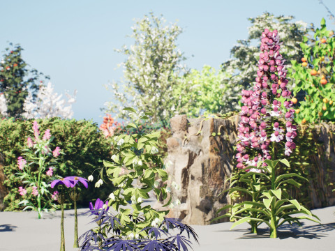 British Vegetation 3D Asset Pack 3D Model