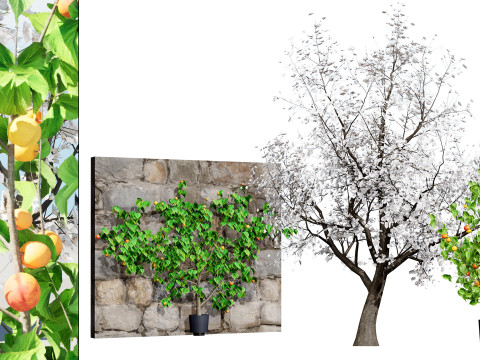 British Vegetation 3D Asset Pack 3D Model