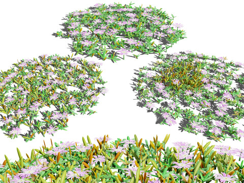 British Vegetation 3D Asset Pack 3D Model