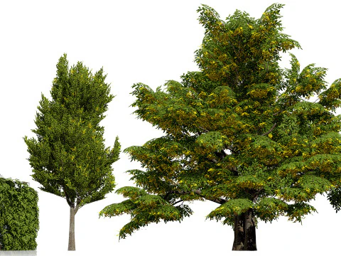 British Vegetation 3D Asset Pack 3D Model