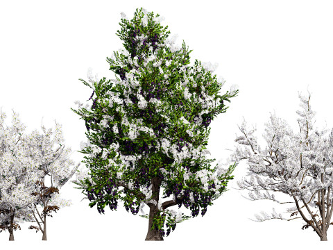 British Vegetation 3D Asset Pack 3D Model