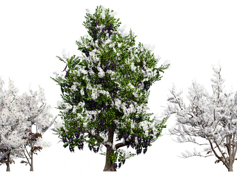 British Vegetation 3D Asset Pack 3D Model