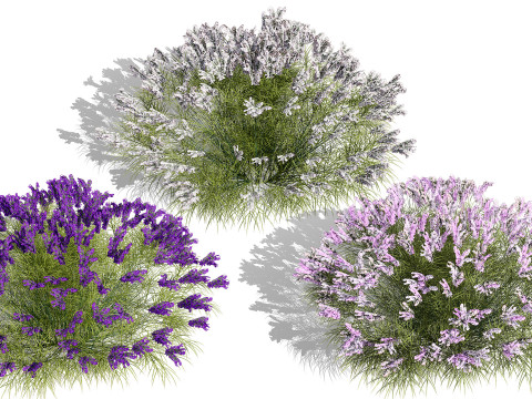 British Vegetation 3D Asset Pack 3D Model
