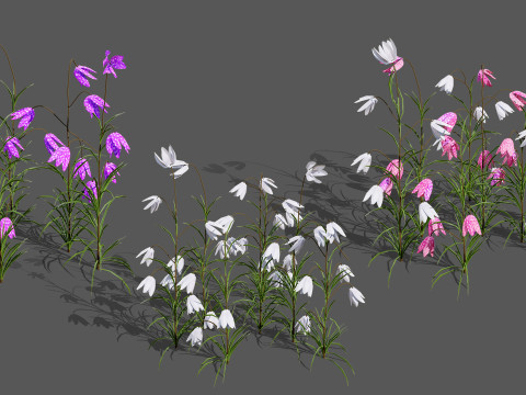 British Vegetation 3D Asset Pack 3D Model
