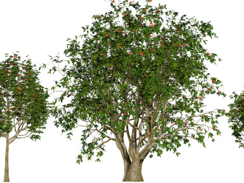 British Vegetation 3D Asset Pack 3D Model