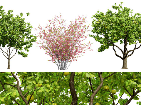 British Vegetation 3D Asset Pack 3D Model