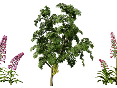 British Vegetation 3D Asset Pack 3D Model