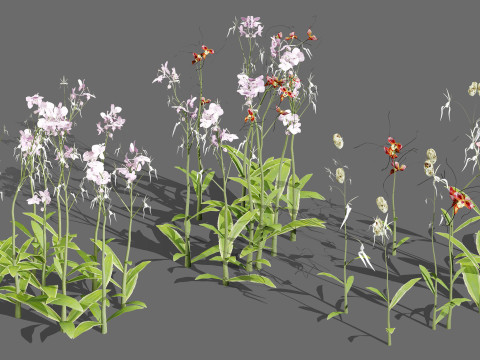 British Vegetation 3D Asset Pack 3D Model