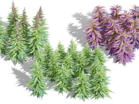 British Vegetation 3D Asset Pack 3D Model