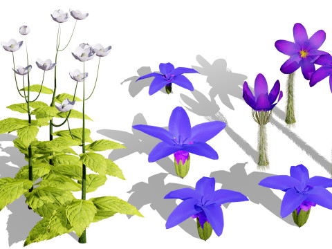British Vegetation 3D Asset Pack 3D Model